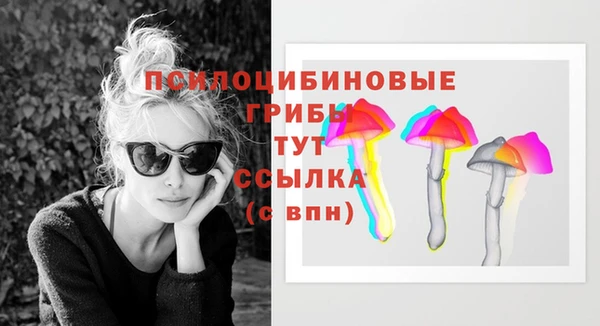 крисы Мегион