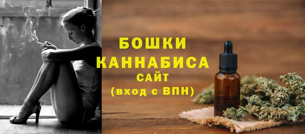 крисы Мегион