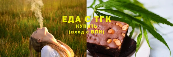индика Медногорск