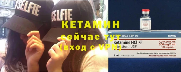 крисы Мегион