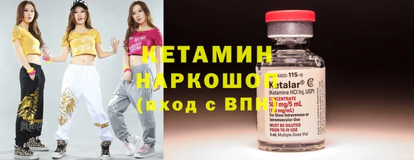 индика Медногорск