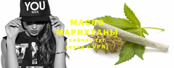 крисы Мегион
