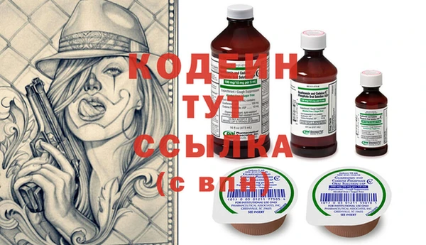 индика Медногорск