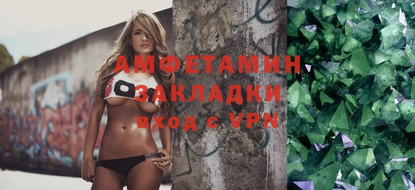 индика Медногорск