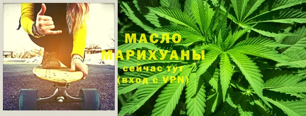 индика Медногорск