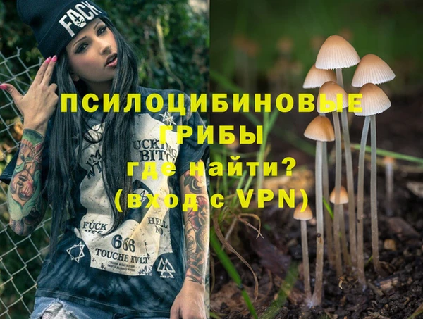 крисы Мегион