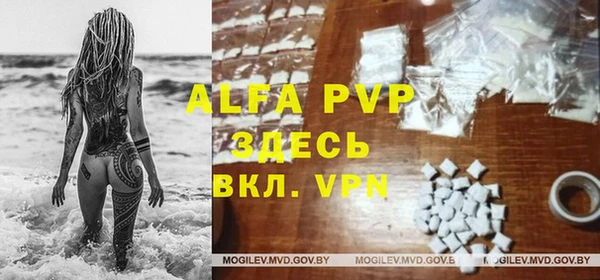 индика Медногорск
