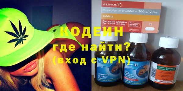 индика Медногорск