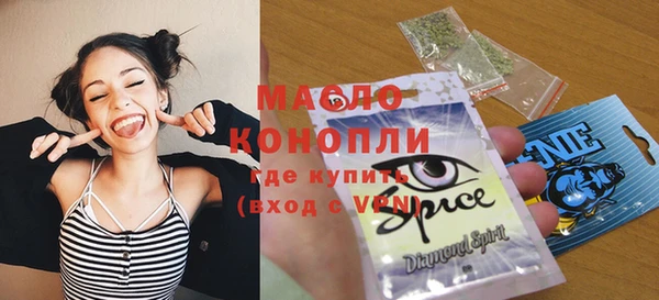 индика Медногорск