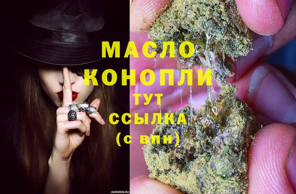 индика Медногорск
