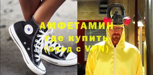 крисы Мегион
