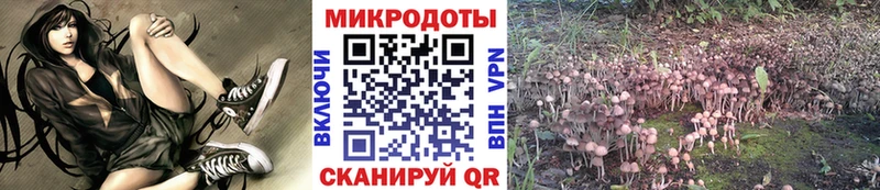 Псилоцибиновые грибы Cubensis  Купить где  Усть-Лабинск 